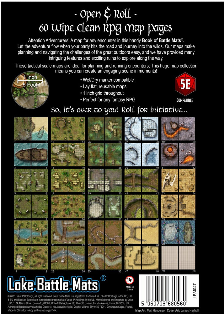 Big Book of Battle Mats Wrecks & Ruins (12x9")