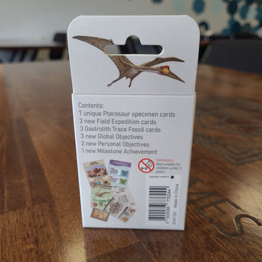 Holotype Pterosaur Expansion