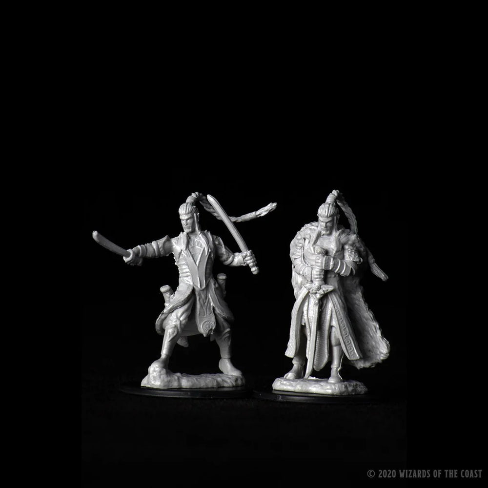 Elf Paladin Male Unpainted