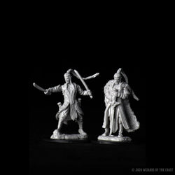 Elf Paladin Male Unpainted