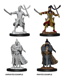 Elf Paladin Male Unpainted