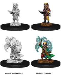 Male Gnome Sorcerer