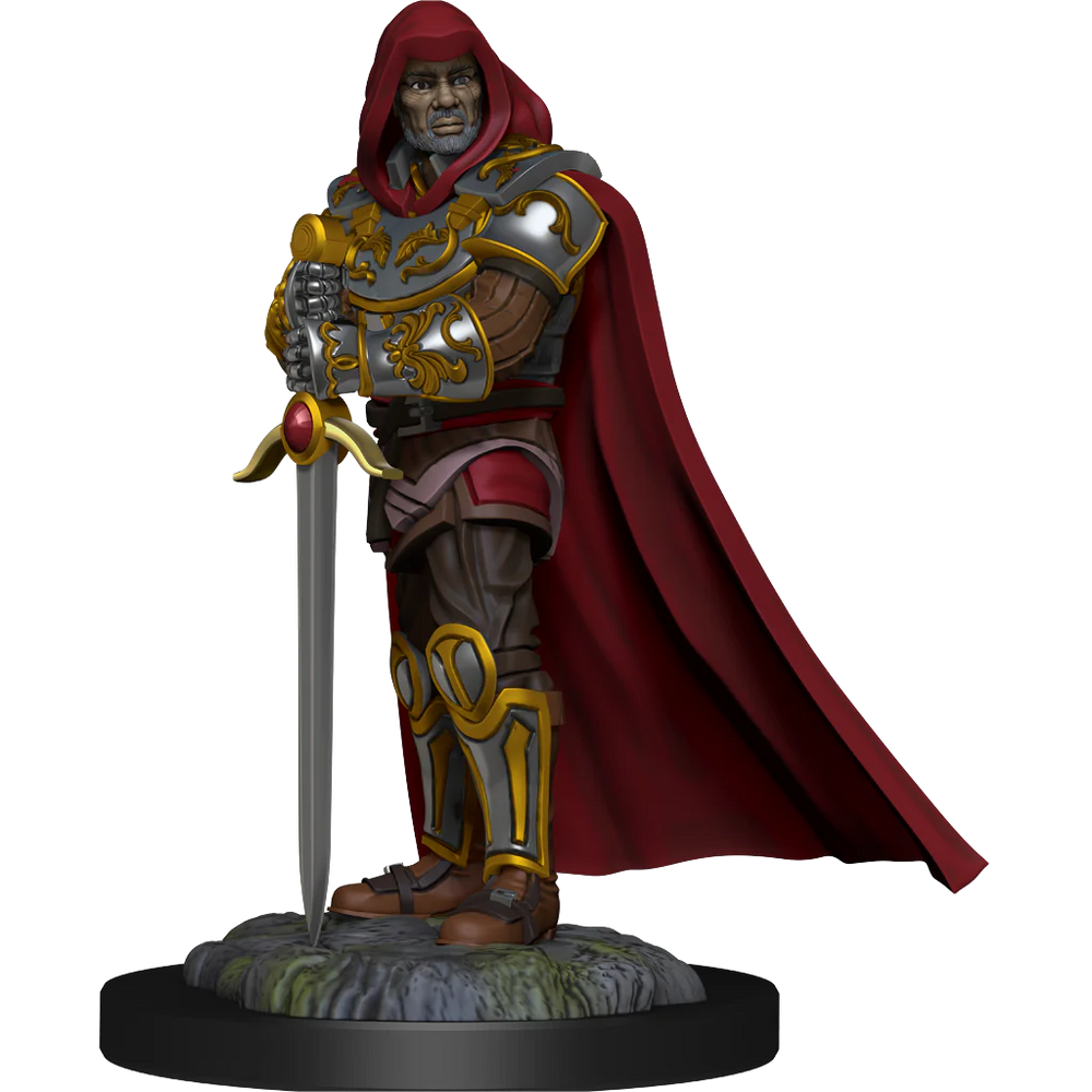 Human Paladin