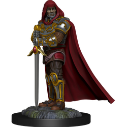 Human Paladin