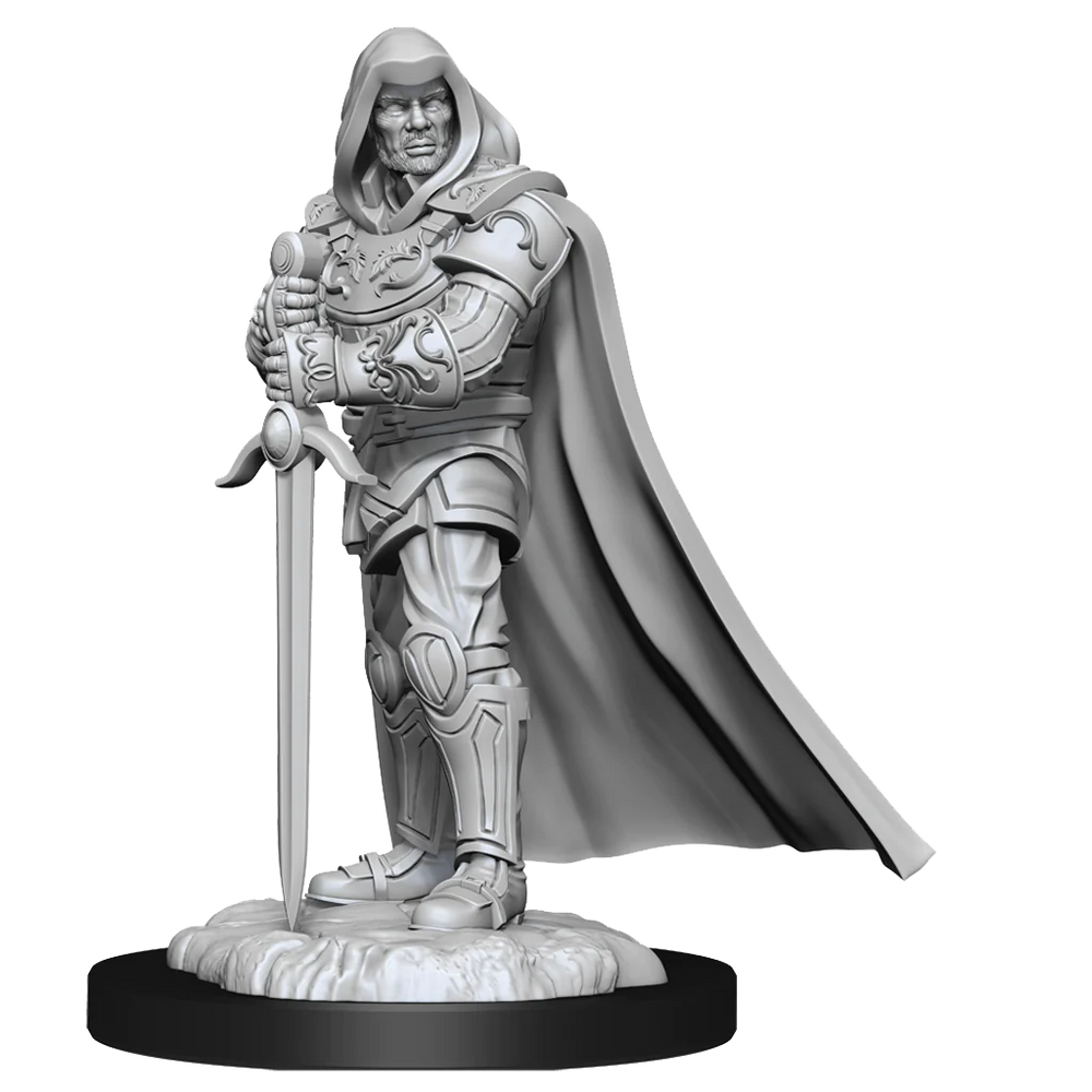 Human Paladin