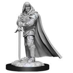 Human Paladin