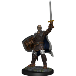 Human Paladin
