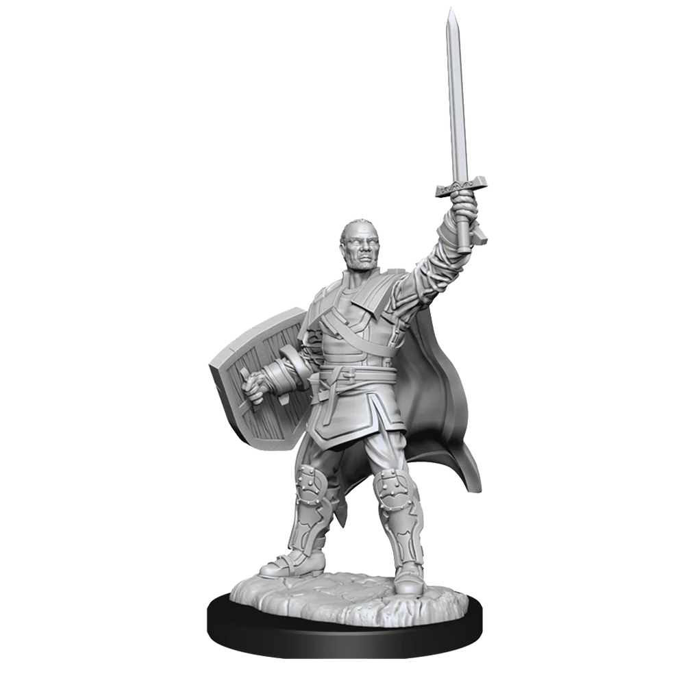 Human Paladin