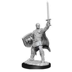 Human Paladin