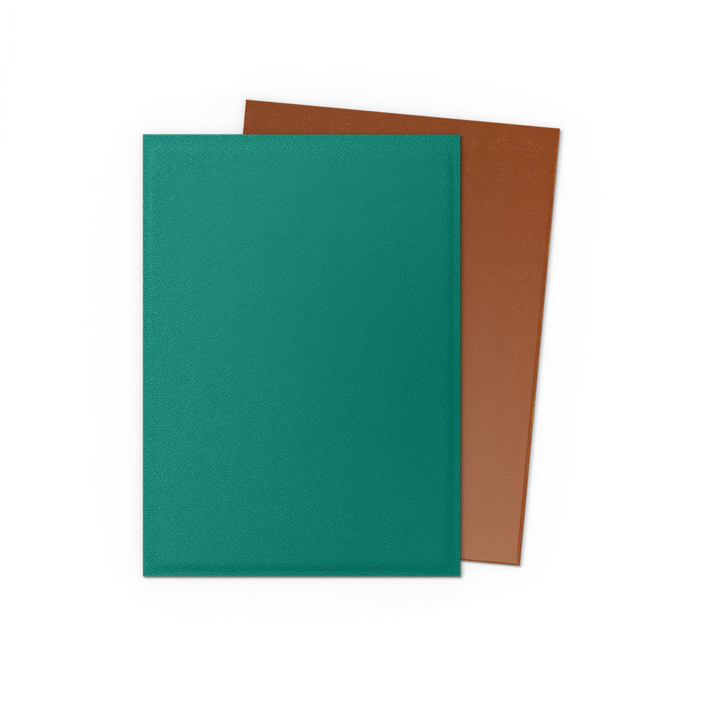 Dragon Shield Standard Card Size Sleeves - Matte (100 pack)