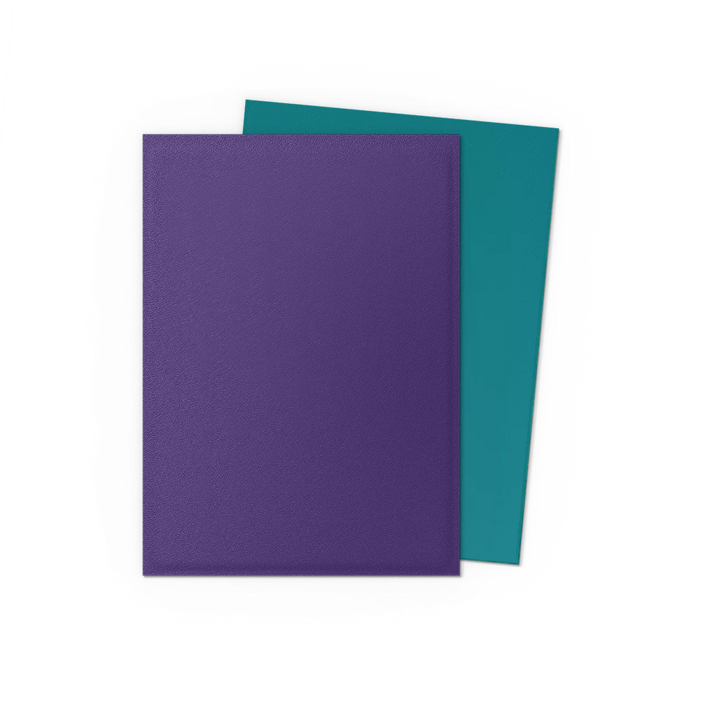 Dragon Shield Standard Card Size Sleeves - Matte (100 pack)