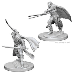 Elf Ranger
