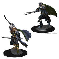 Elf Ranger