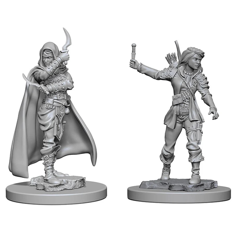 Female Human Rogue