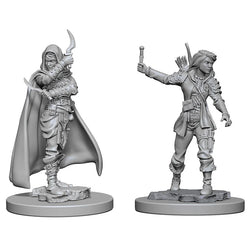 Female Human Rogue
