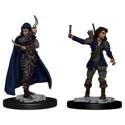 Female Human Rogue
