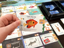 Finspan Sharks & Reefs Expansion