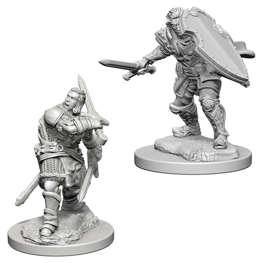 Human Paladin