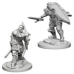 Human Paladin