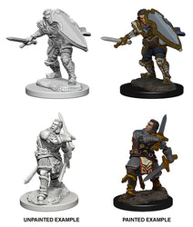 Human Paladin
