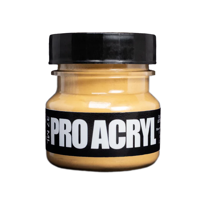 Pro Acryl Weathering Pigments 37ml