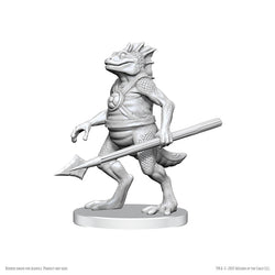 D&D Nolzur's Marvelous Miniatures Unpainted - Wave 26