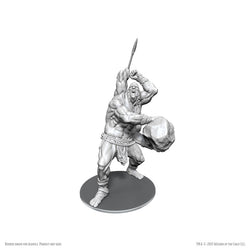 D&D Nolzur's Marvelous Miniatures Unpainted - Wave 26
