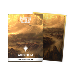 Dragon Shield: Standard Card Size Sleeves - Matte (100 pack)