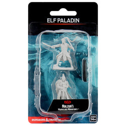 Elf Paladin Male Unpainted