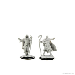 Human Druid Unpainted