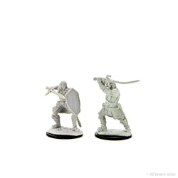 Human Paladin Unpainted
