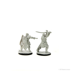 Human Paladin Unpainted