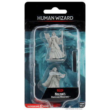 Human Wizard Female