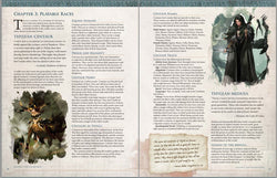 Odyssey of the Dragonlords: Softercover Player's Guide - Previously Owned