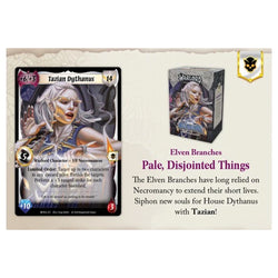 Warlord CCG: Saga of the Storm- Into the Accordlands Starter Deck