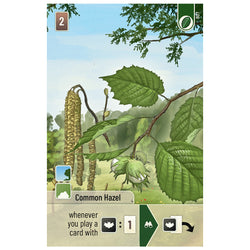 Forest Shuffle - Woodland Edge Expansion