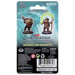Orc Adventurers