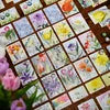 Floriferous