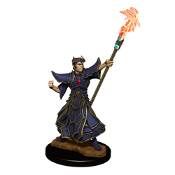 Male Human Sorcerer