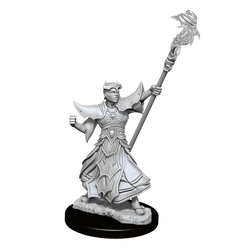 Male Human Sorcerer