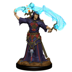 Male Human Sorcerer