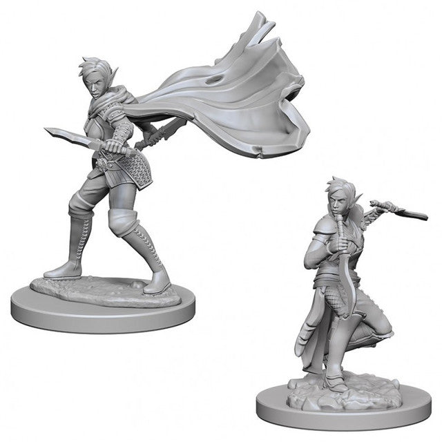 Female Elf Rogue