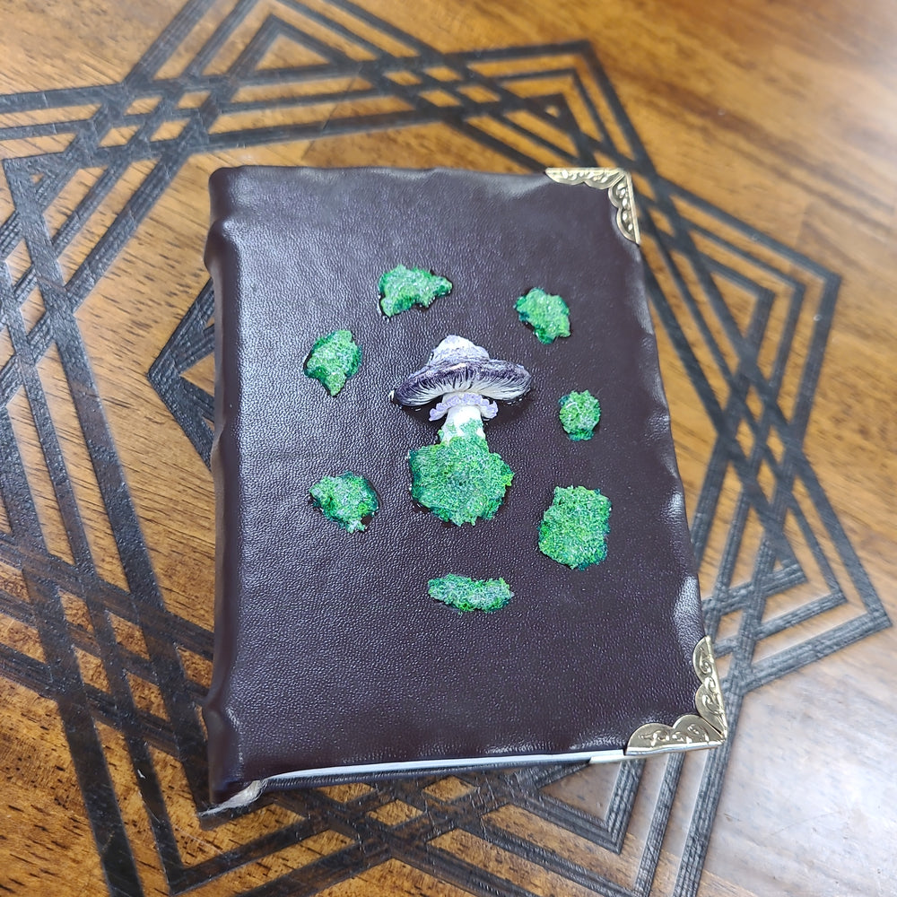 Dragon's Lair Adventurer's Tome