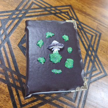 Dragon's Lair Adventurer's Tome