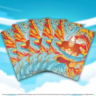 Avatar The Last Airbender Sleeves (100)