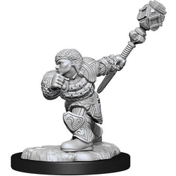 Dwarf Fighter & Dwarf Cleric