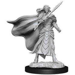 Elf Fighter & Elf Cleric