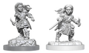 D&D Nolzur's Marvelous Minis: Wave 20