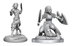 D&D Nolzur's Marvelous Minis: Wave 20