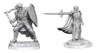 D&D Nolzur's Marvelous Minis: Wave 20